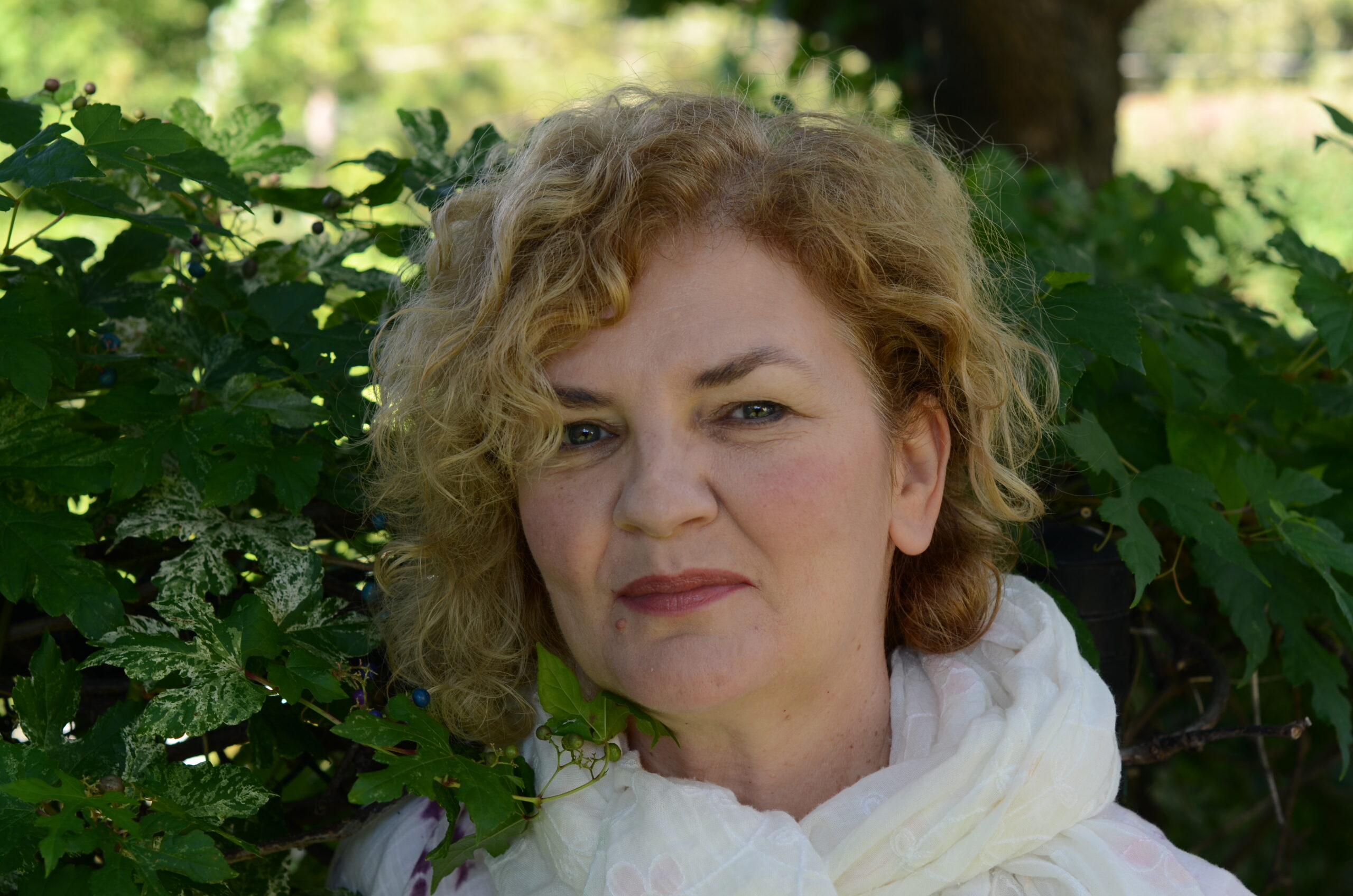 A Cemetery for Bees: An Interview with Alina Dumitrescu
