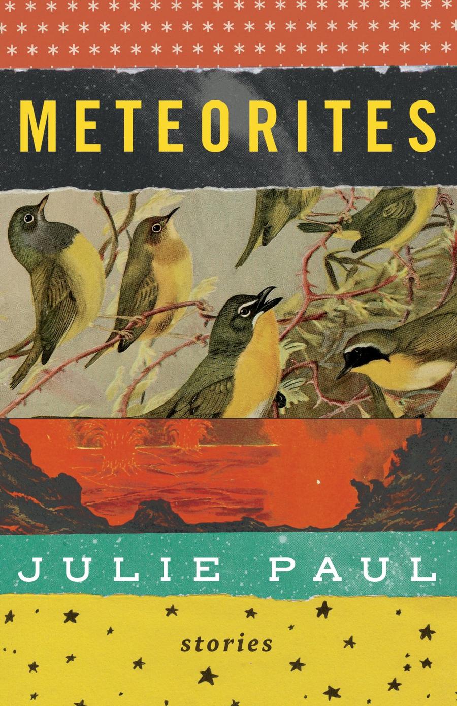 Beautiful Books: Meteorites