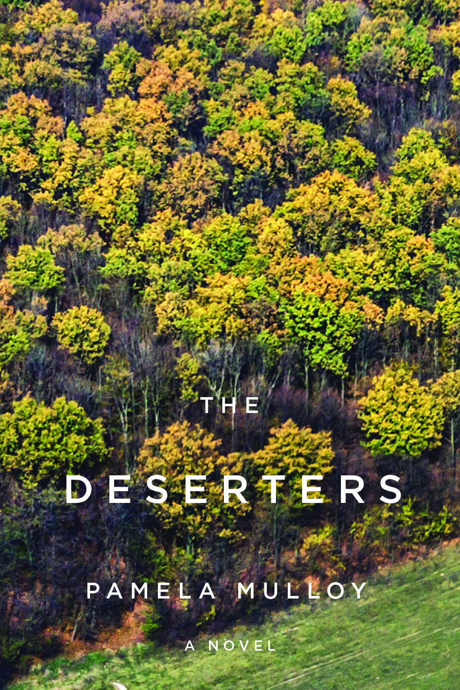 First Fiction Friday: The Deserters