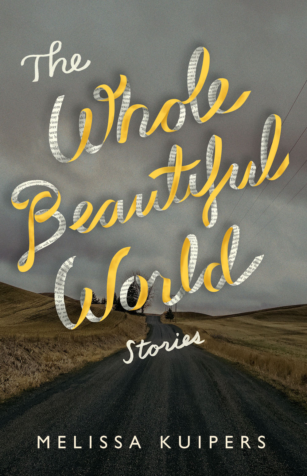 First Fiction Fridays: The Whole Beautiful World