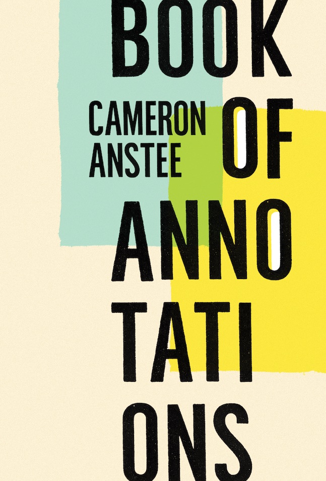 Poetry Cure: Book of Annotations by Cameron Anstee