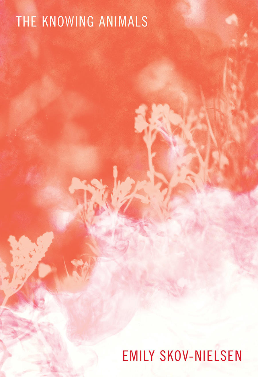 Poetry in Motion: Emily Skov-Nielsen