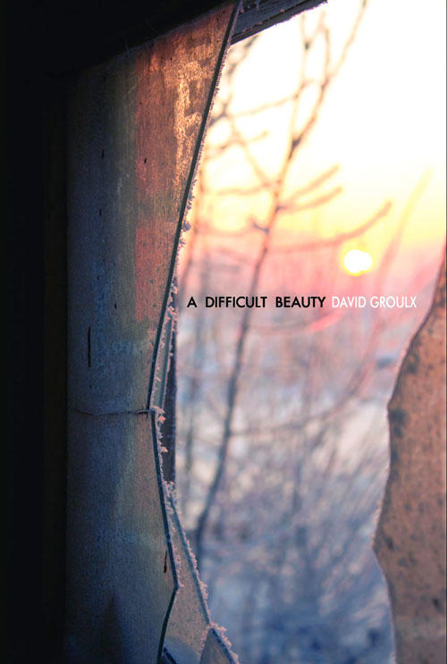 READ INDIGENOUS: A Difficult Beauty