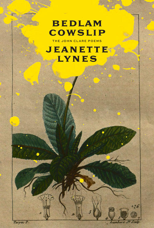 Under the Cover: Begun in Grief and Silence—The Writing of Bedlam Cowslip