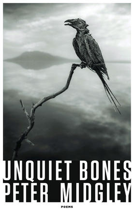 Under the Cover: Language as a Mooring Place in Peter Midgley’s Unquiet Bones