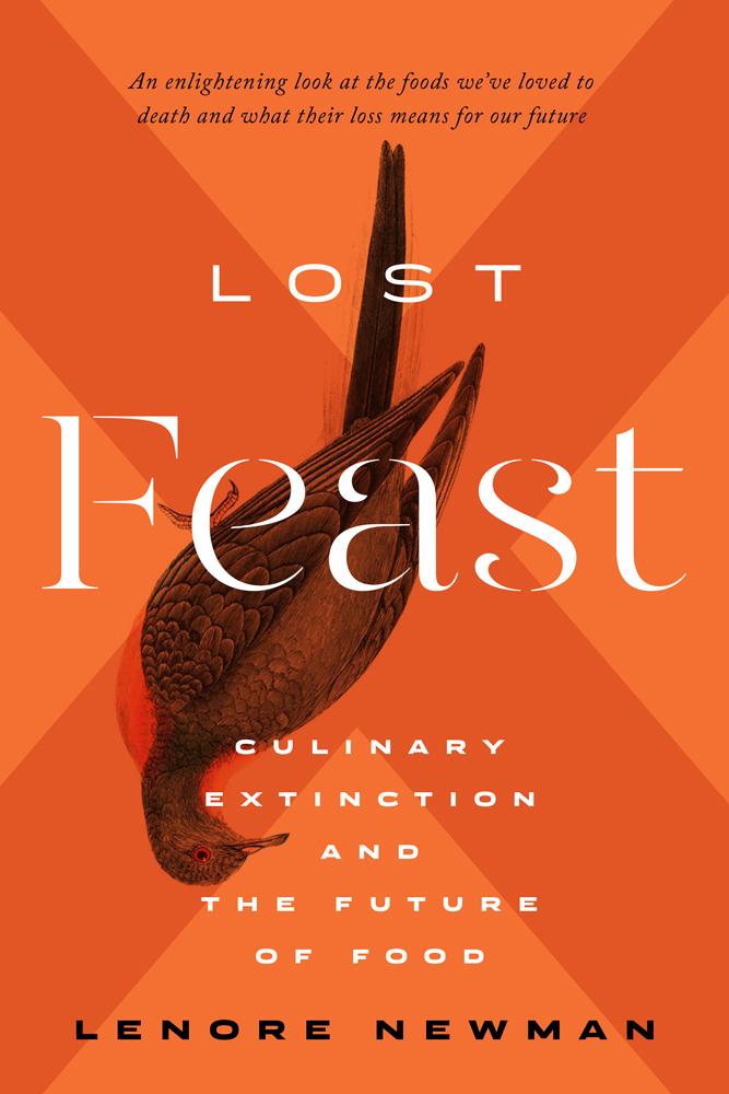 Under the Cover: Lost Feast