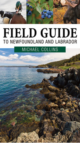 Where in Canada: Discover Newfoundland and Labrador with this new field guide