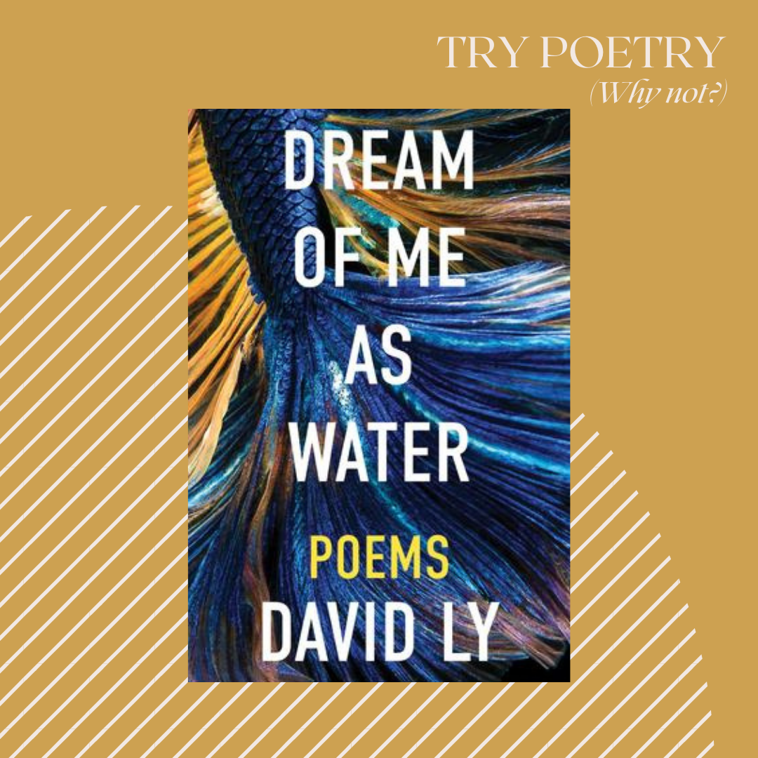 Try Poetry: Dream of Me as Water + David Ly