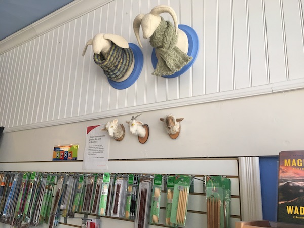 A photo of a white-panelled wall inside Happenstance Books & Yarns with five decorative faux sheep and ram heads on it; two are wearing green knit scarves. Below them is a row of knitting supplies.