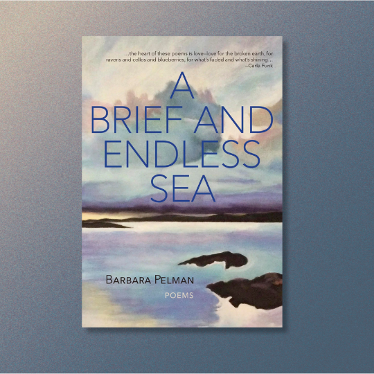 Poetry in Motion: Barbara Pelman + A Brief and Endless Sea