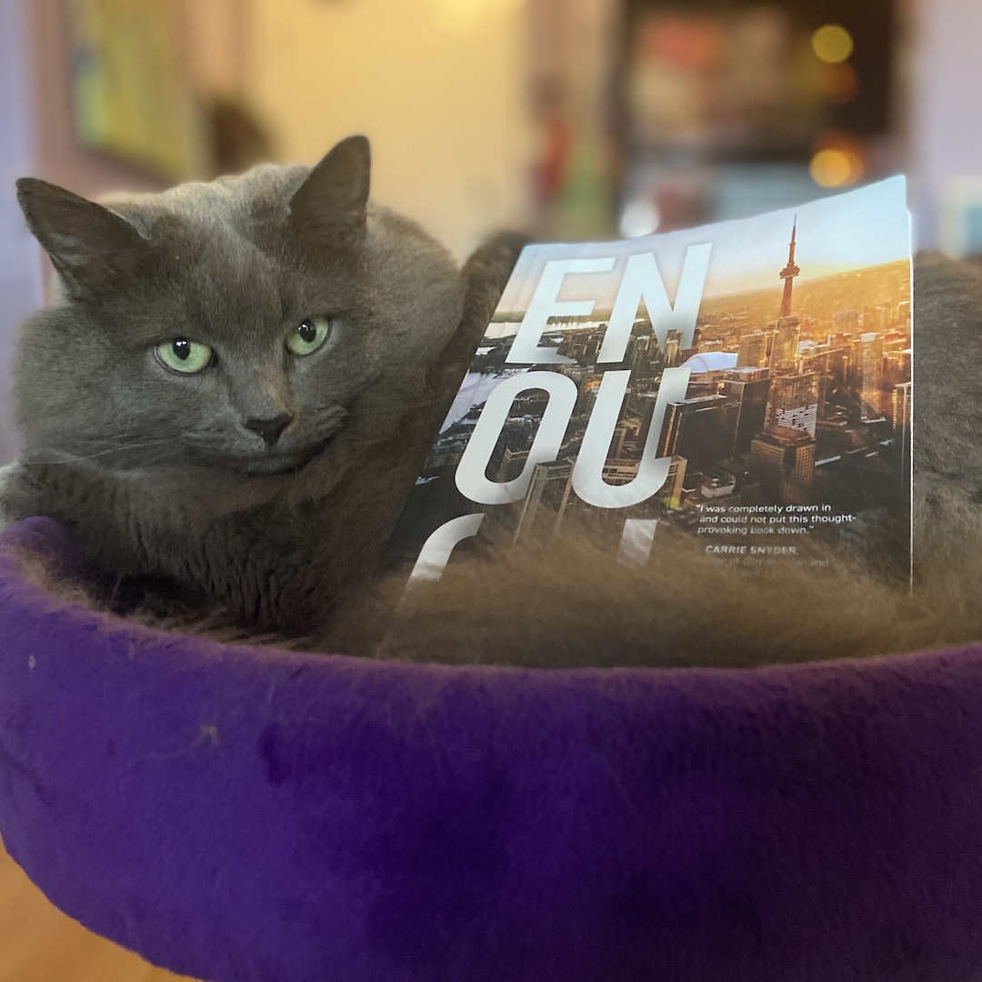 A copy of Enough by Kimia Eslah is nestled into a big, grey, fluffy kitty, both in a purple cat bed.