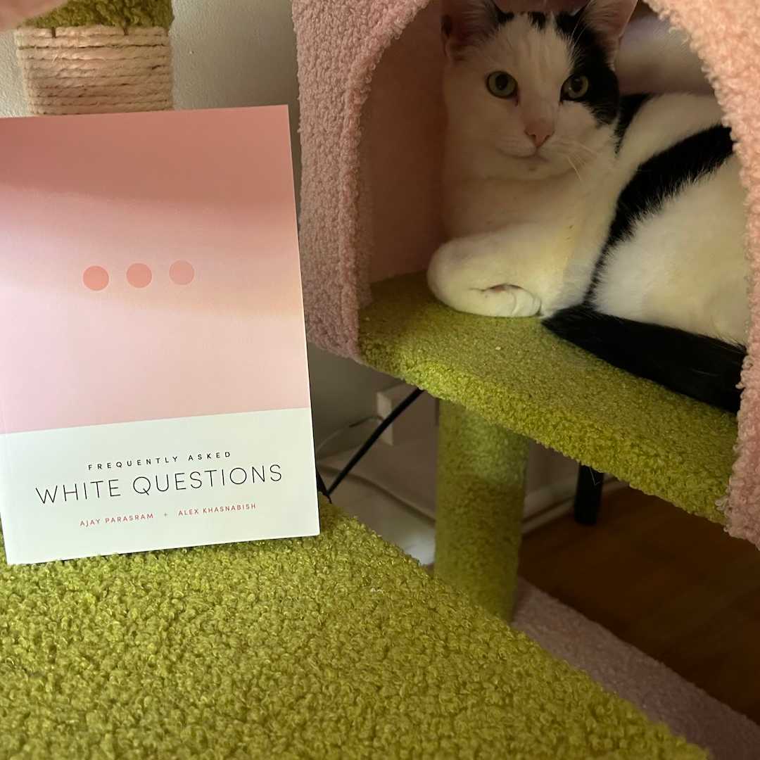 A copy of Frequently Asked White Questions with Toka the cat, a white cat with black spots, sitting in a cat tree.