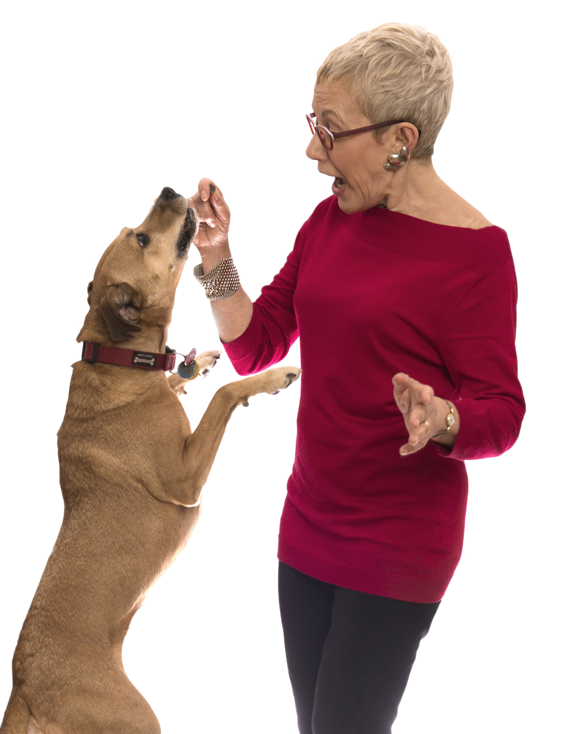 A photo of author Rona Maynard and her dog, Casey. Casey stands on his hind legs to get a treat from Rona's hand.