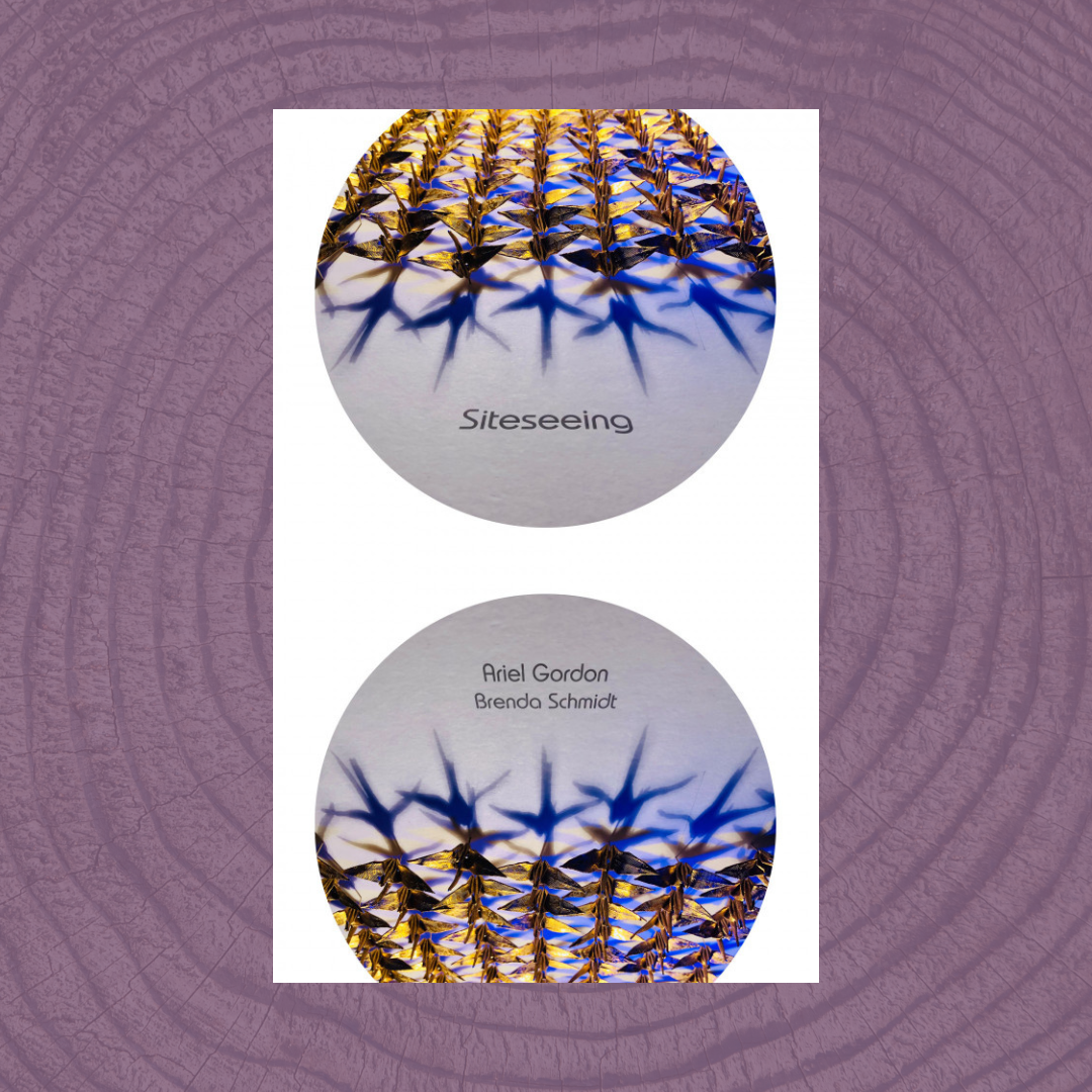 The cover of Siteseeing by Ariel Gordon and Brenda Schmidt