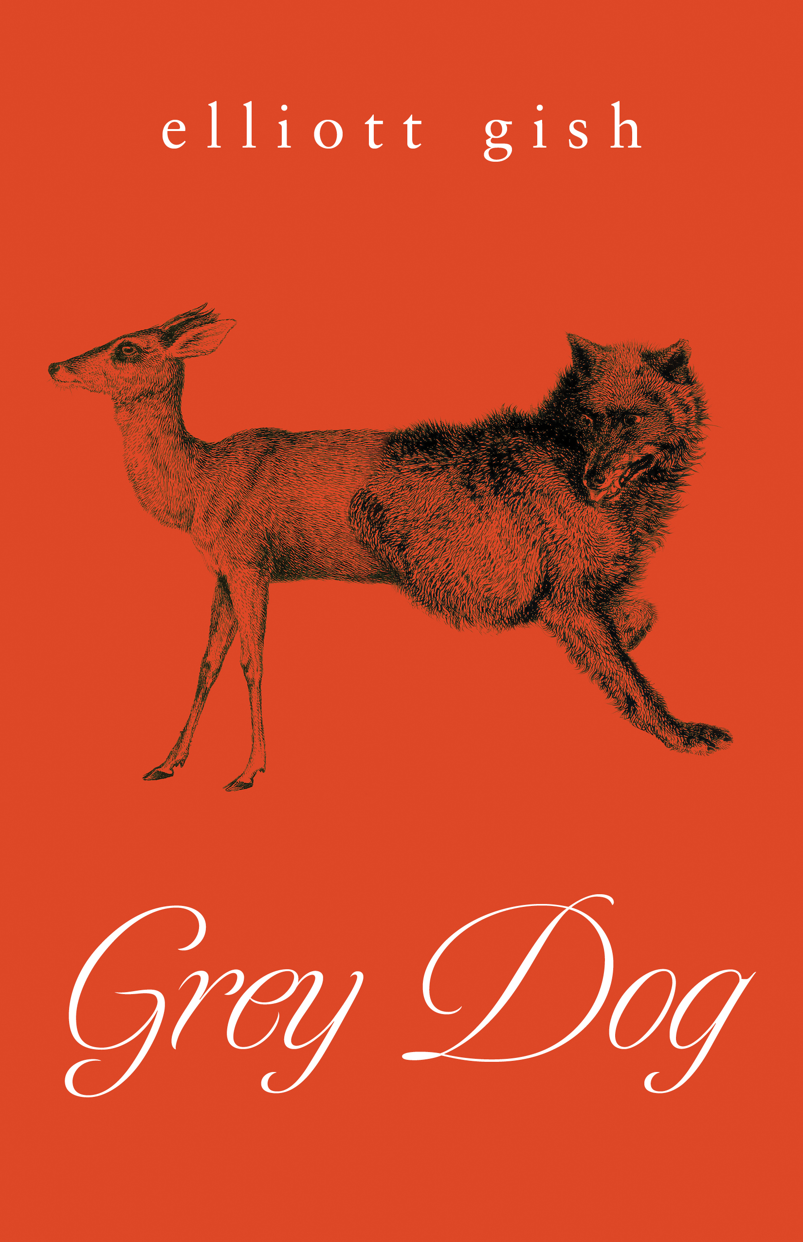 The cover of Grey Dog by Elliott Gish
