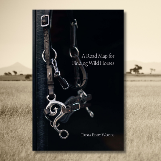 Poetry in Motion: Trisia Eddy Woods + A Road Map for Finding Wild Horses