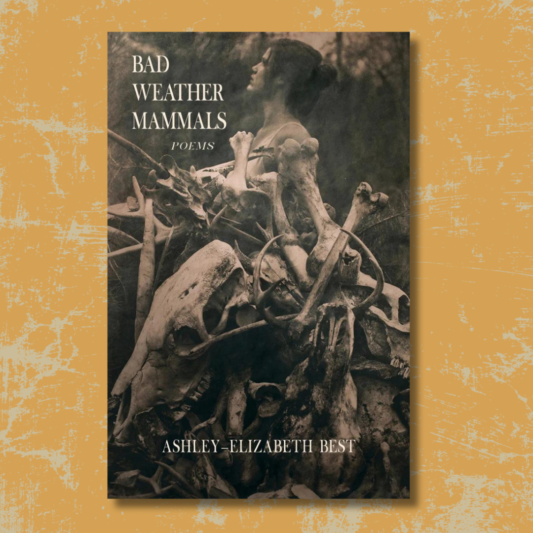 Poetry in Motion: Ashley-Elizabeth Best + Bad Weather Mammals 