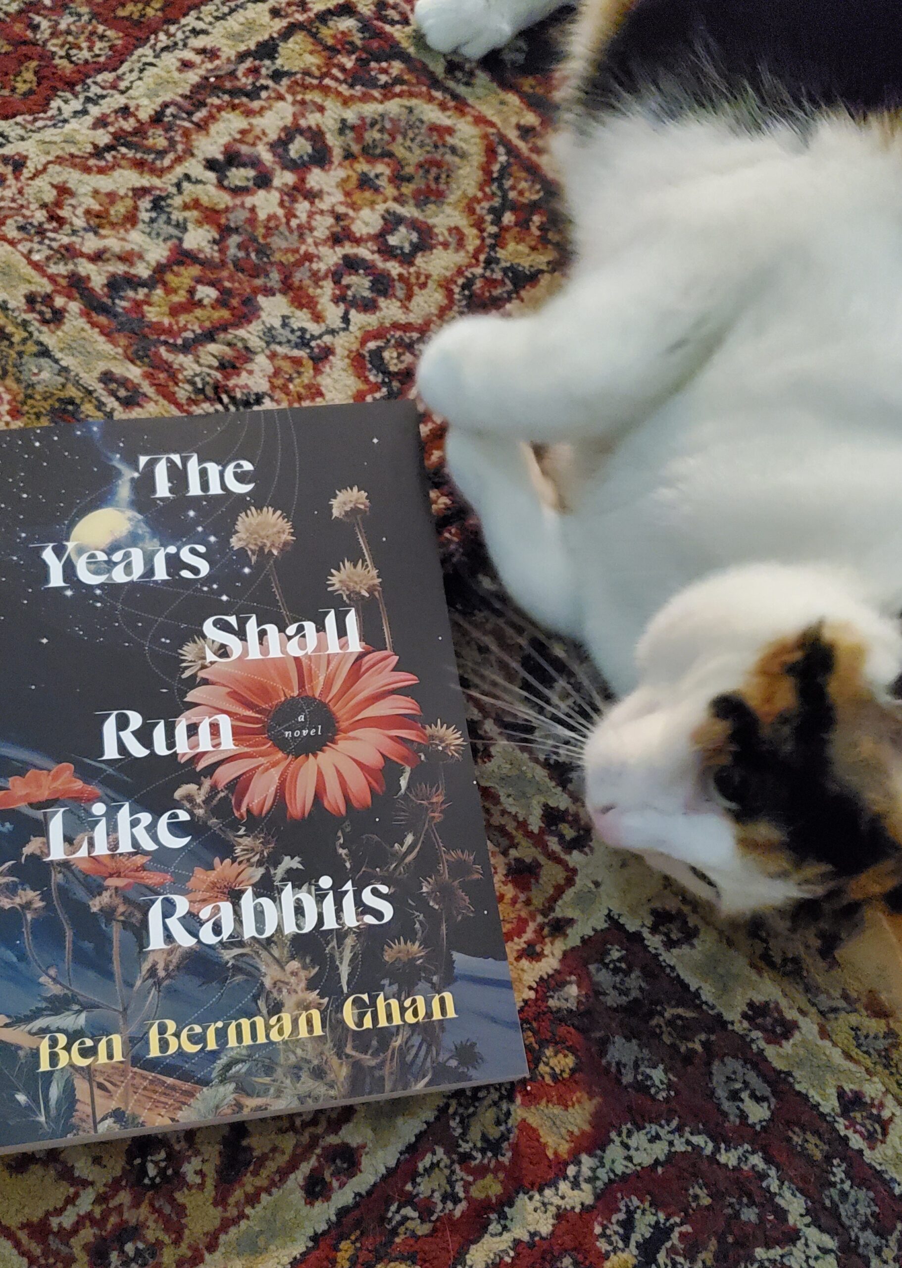 Peppermint, a calico cat, lying down beside the book The Years Shall Run Like Rabbits by Ben Berman Ghan.