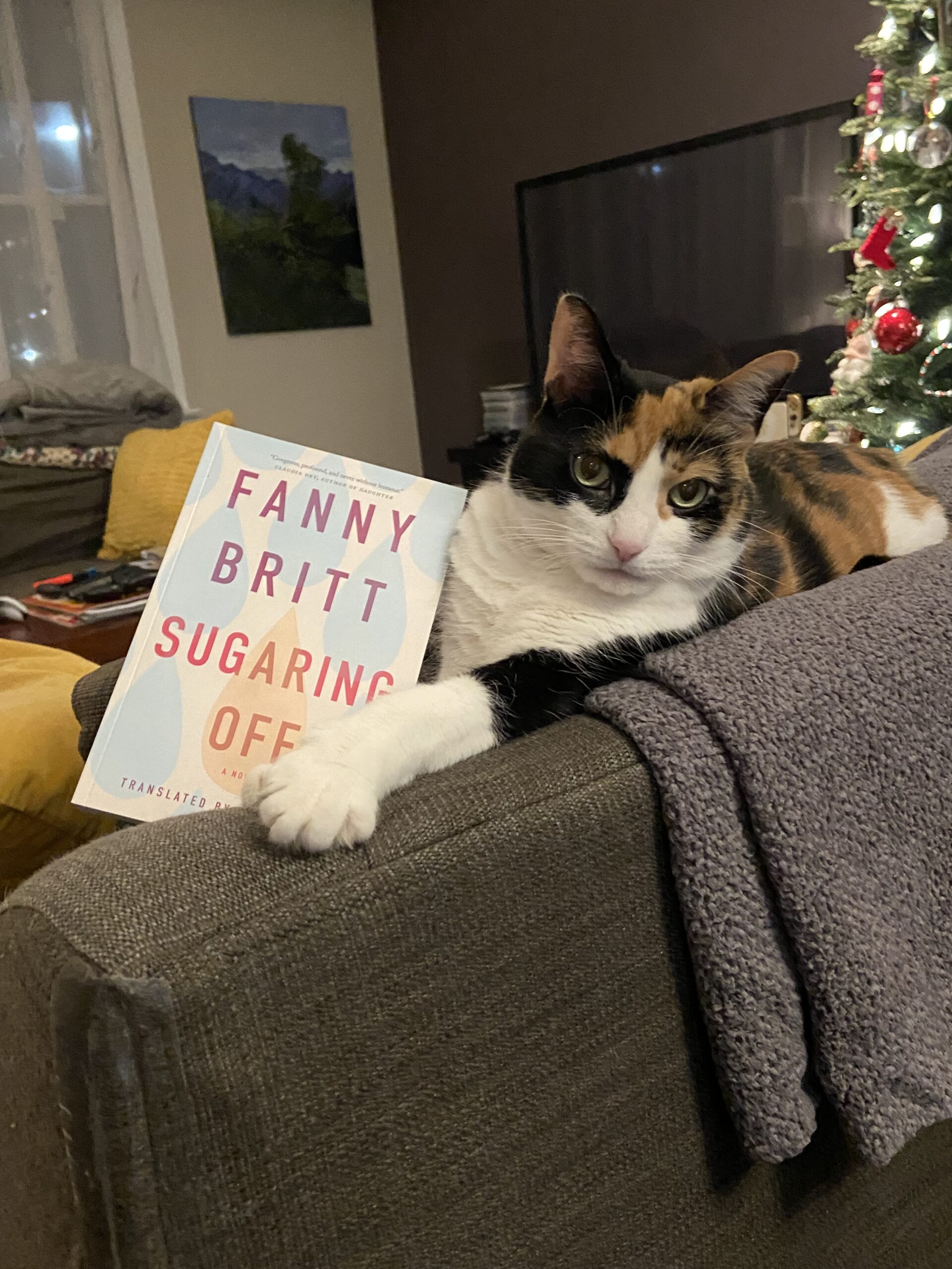 Tess the cat with a paw on the book Sugaring Off by Fanny Britt, translated by Susan Ouriou.
