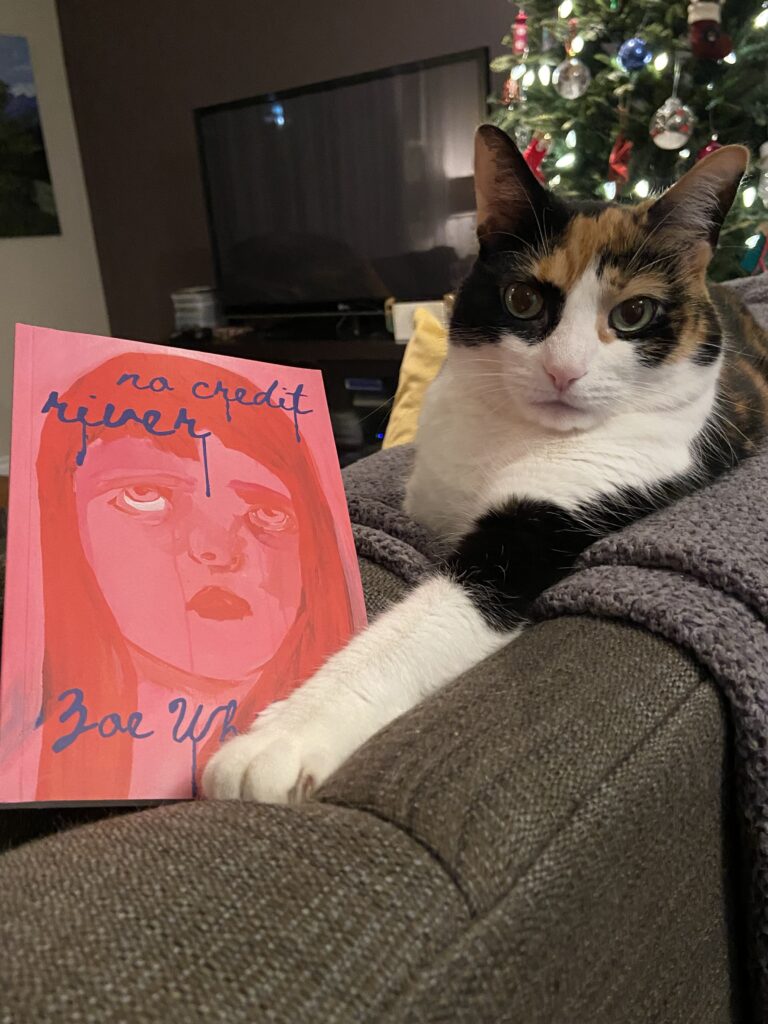 Tess the cat sitting beside the book No Credit River by Zoe Whittall.