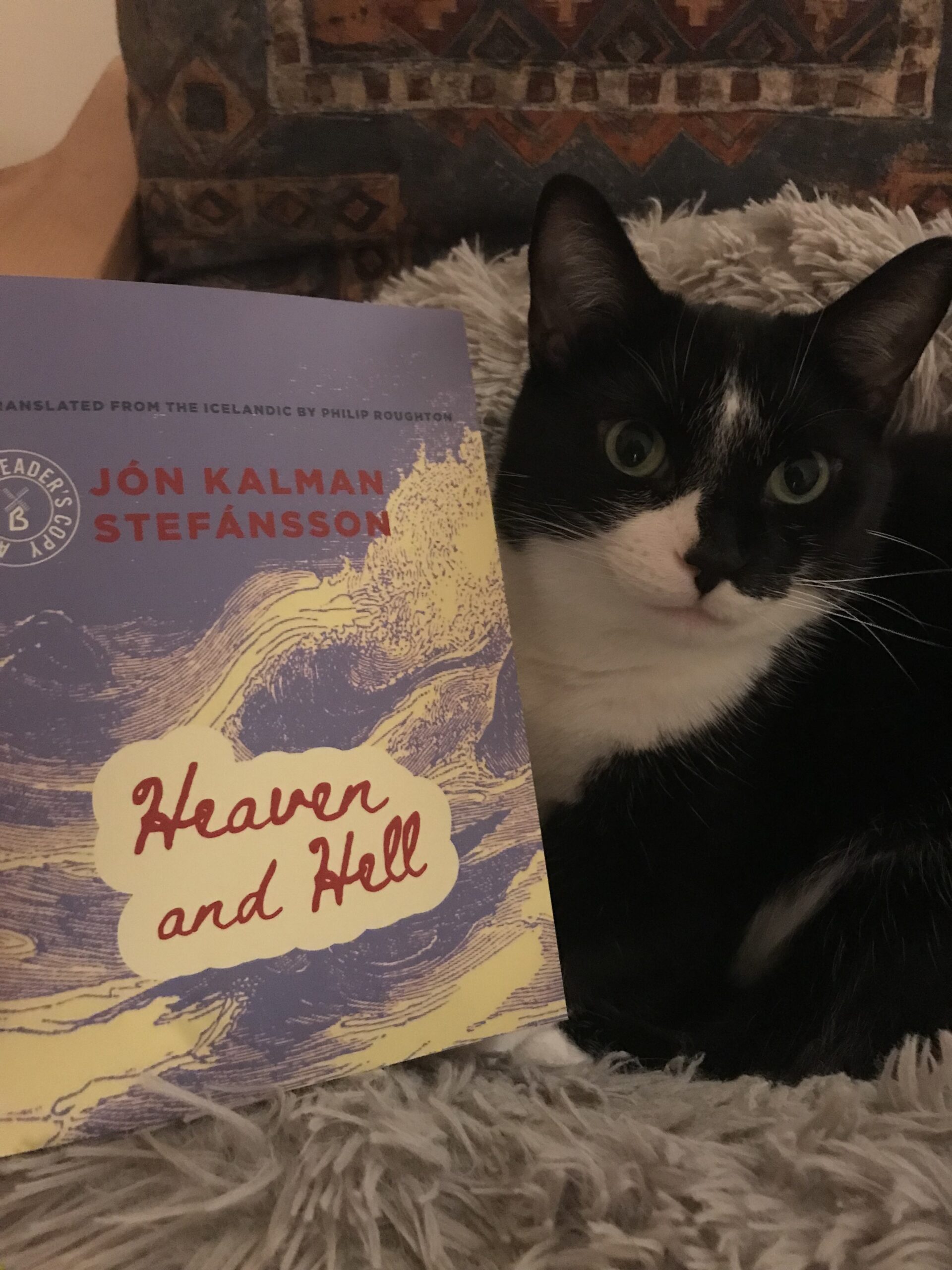 Lily, a black-and-white cat posing beside a copy of the book Heaven and Hell by Jón Kalman Stefánsson, translated by Philip Roughton.