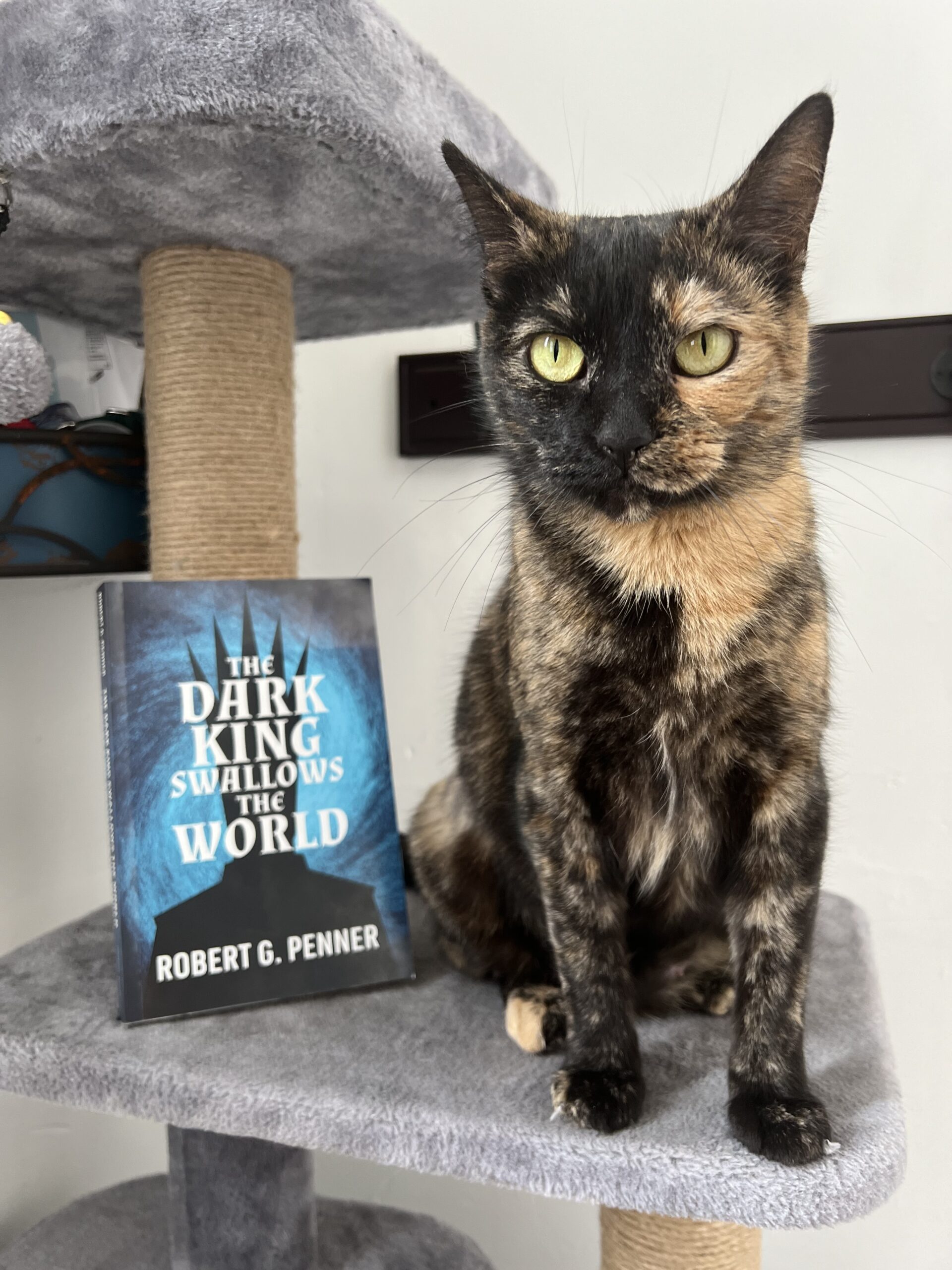 Everest, a black-and-orange cat posing beside a copy of The Dark King Swallows the World by Robert G. Penner.