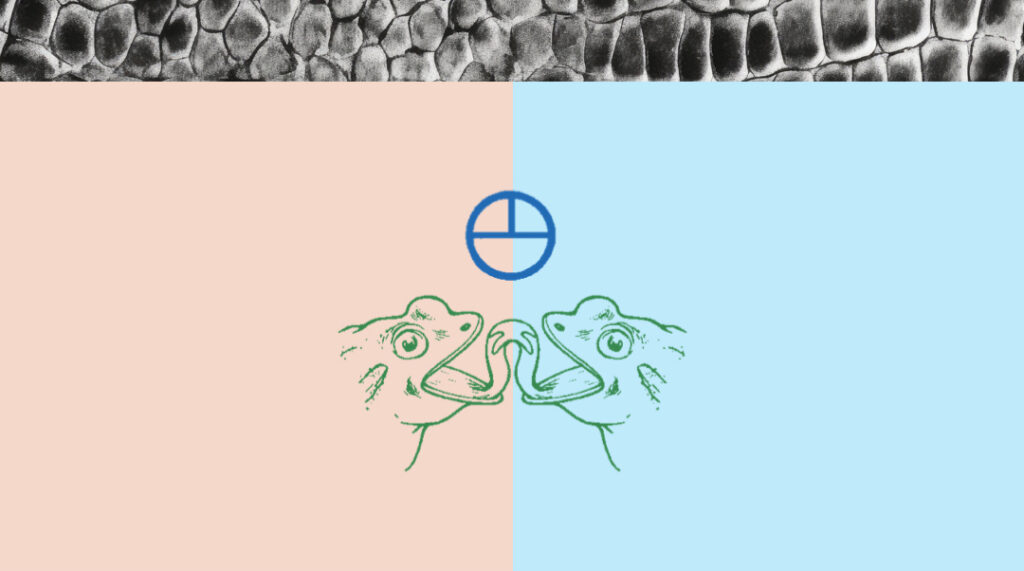 An image of two frogs with their tongues touching.