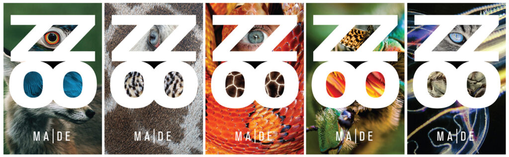 A set of five ZZOO covers, each a variation with a different animal or insect. 