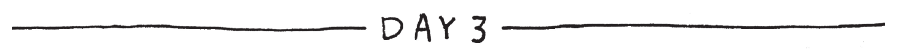 Day 3