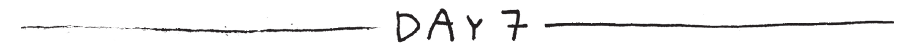 Day 7