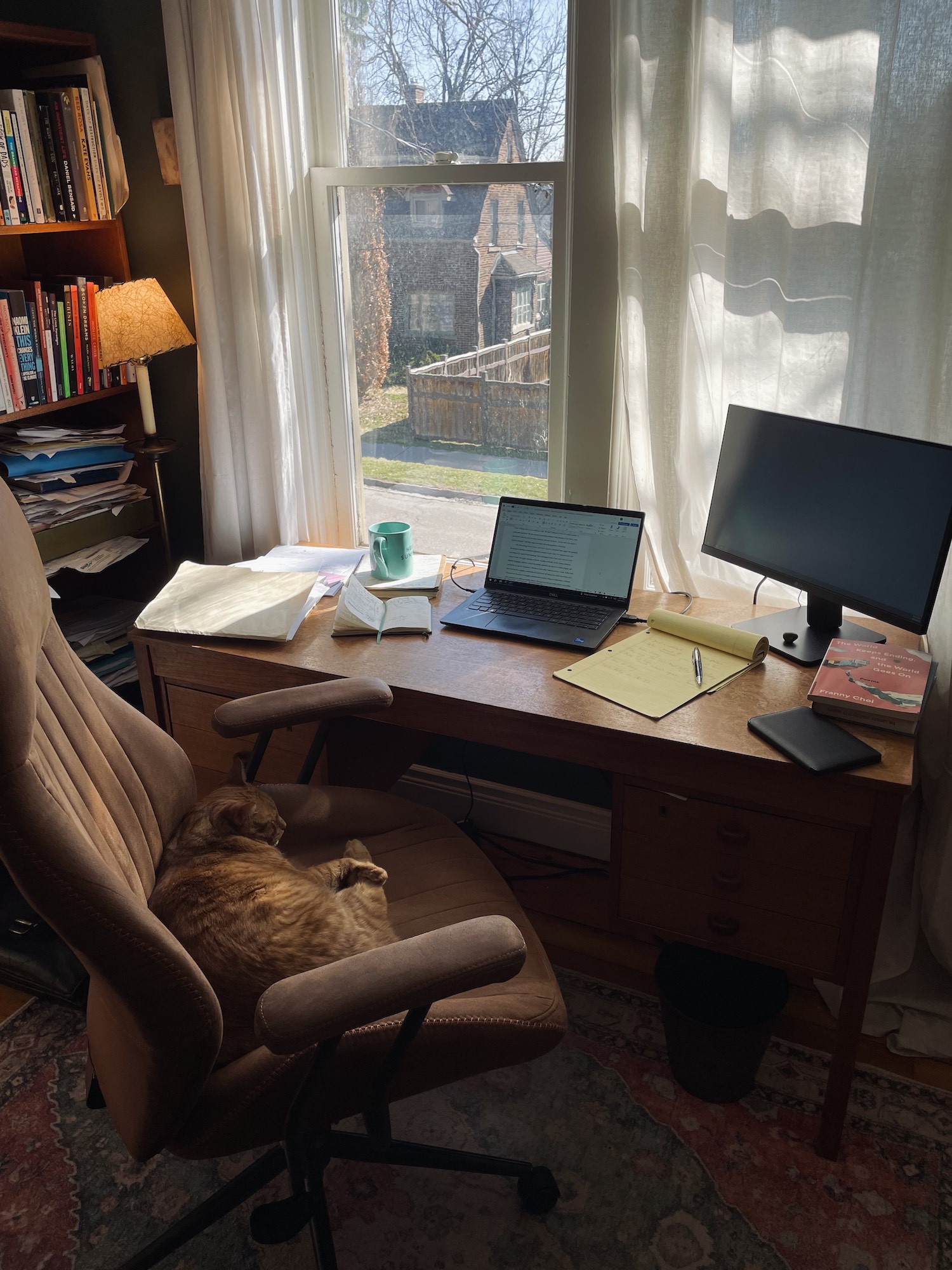 A photo of James Cairns's workspace. A laptop and secondary monitor sit on a wooden desk before a large window, which shows another house across the street. There are various notebooks and file folders on the desk. A bookcase and lamp sits to the left. A large brown tabby cat sleeps in the desk chair, which sits on an ornate patterned rug.