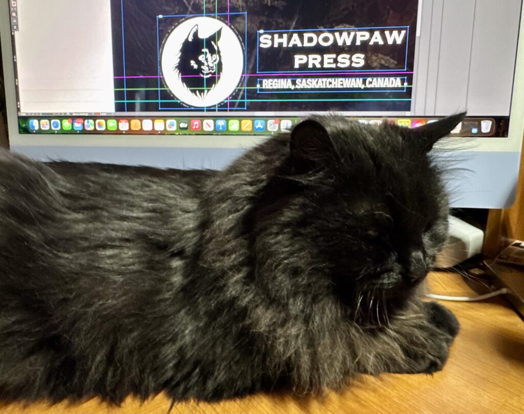 A photo of a black cat laying down in front of a computer screen that displays an image of the Shadowpaw logo and press name. 