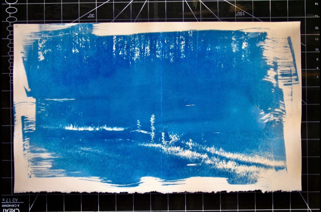 A photo of a cyanotype by Edmonton-based printmaker Mathew Thomson.