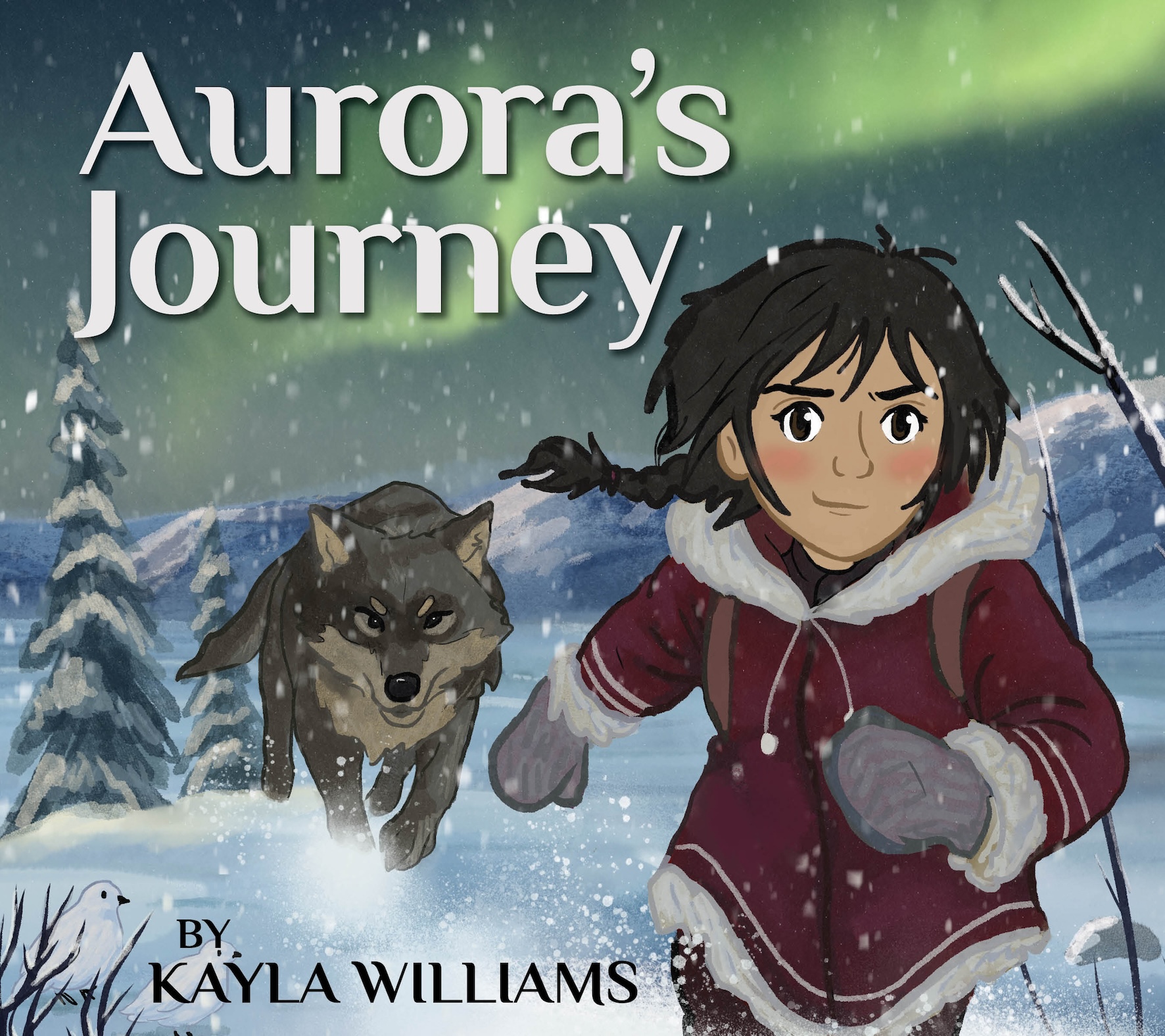Book cover of Aurora's Journey