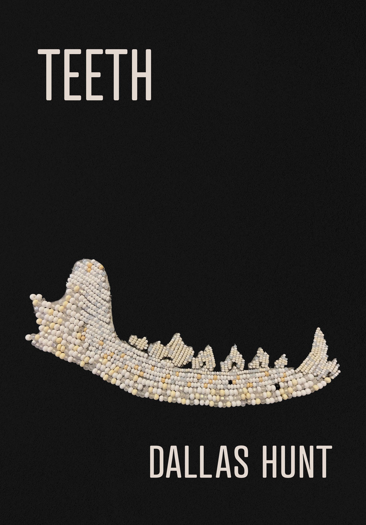 The cover of Teeth by Dallas Hunt.