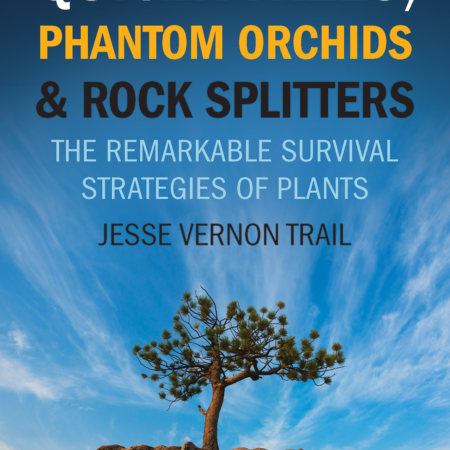 Quiver Trees, Phantom Orchids and Rock Splitters