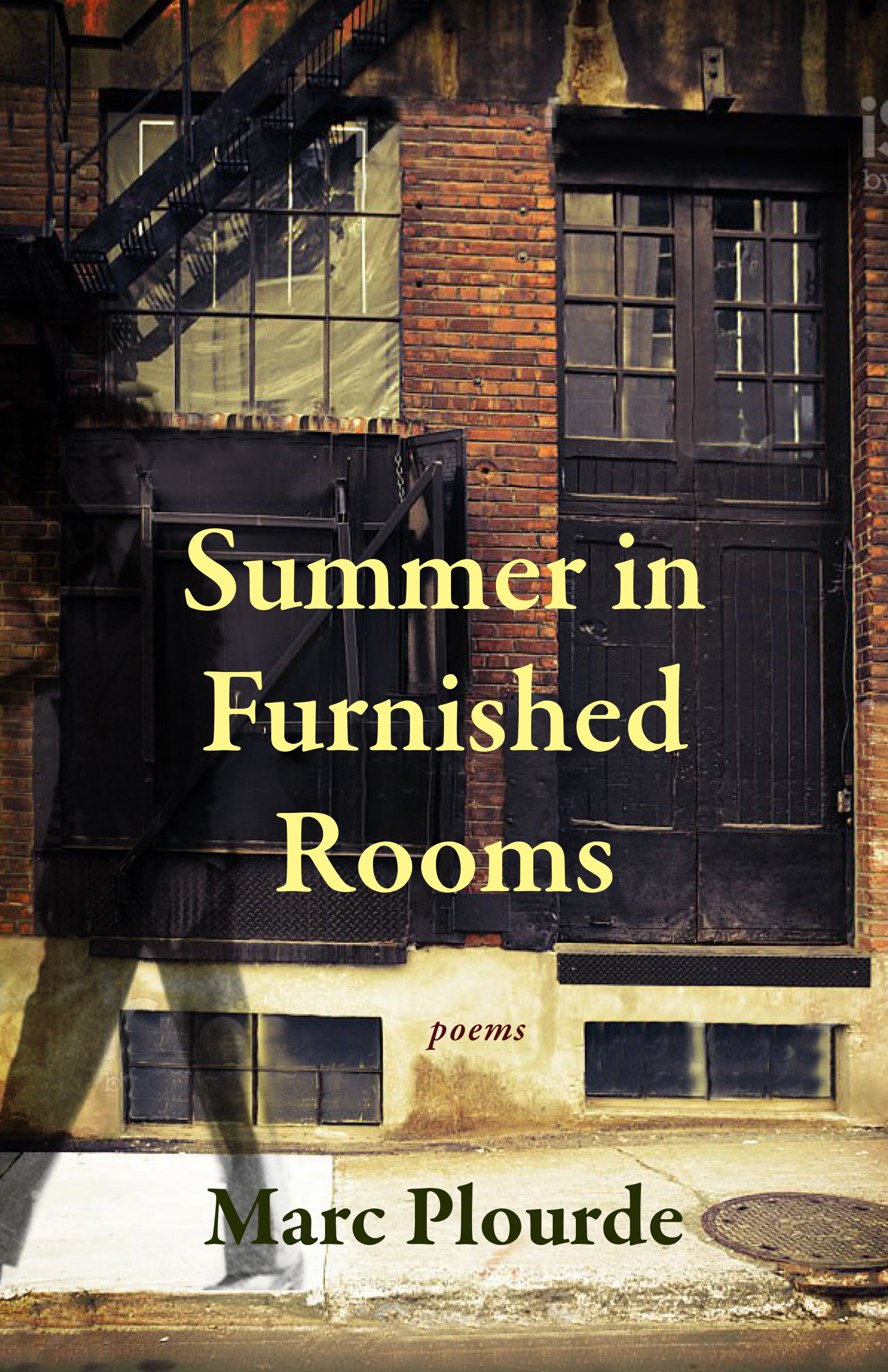 The cover of Summer in Furnished Rooms by Marc Plourde.