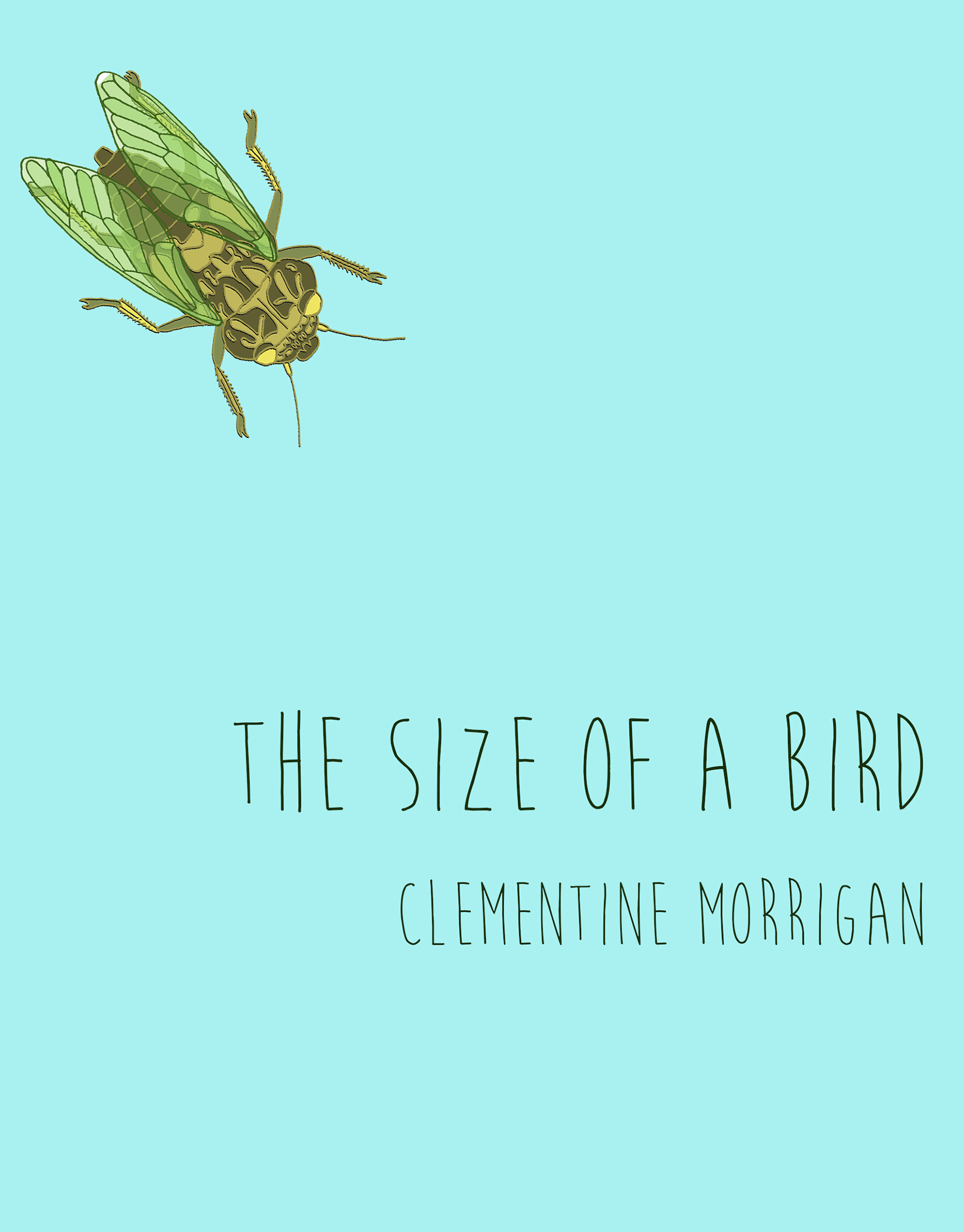 The Size of a Bird Alllitup.ca