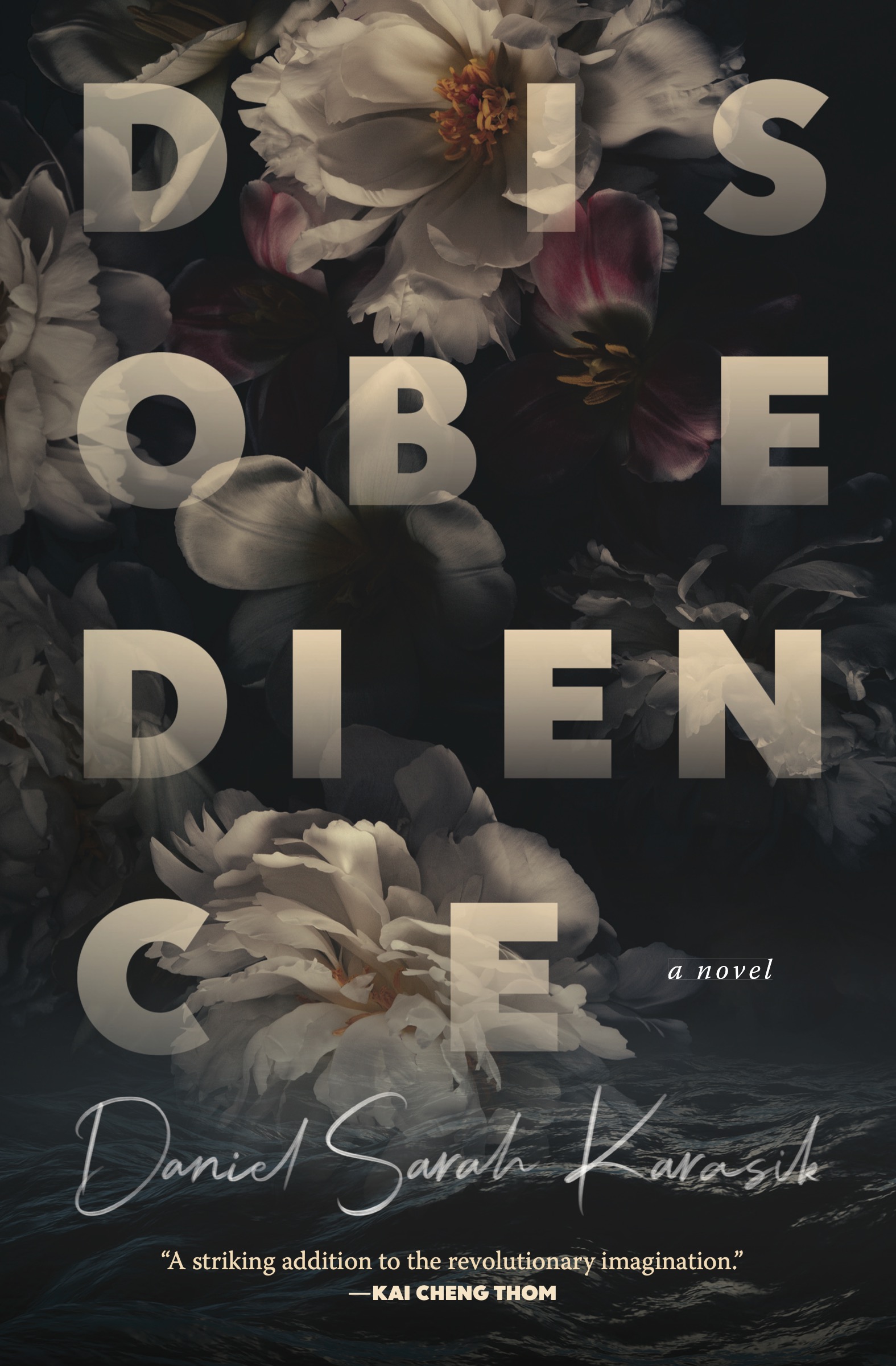 The cover of Disobedience by Daniel Sarah Karasik.