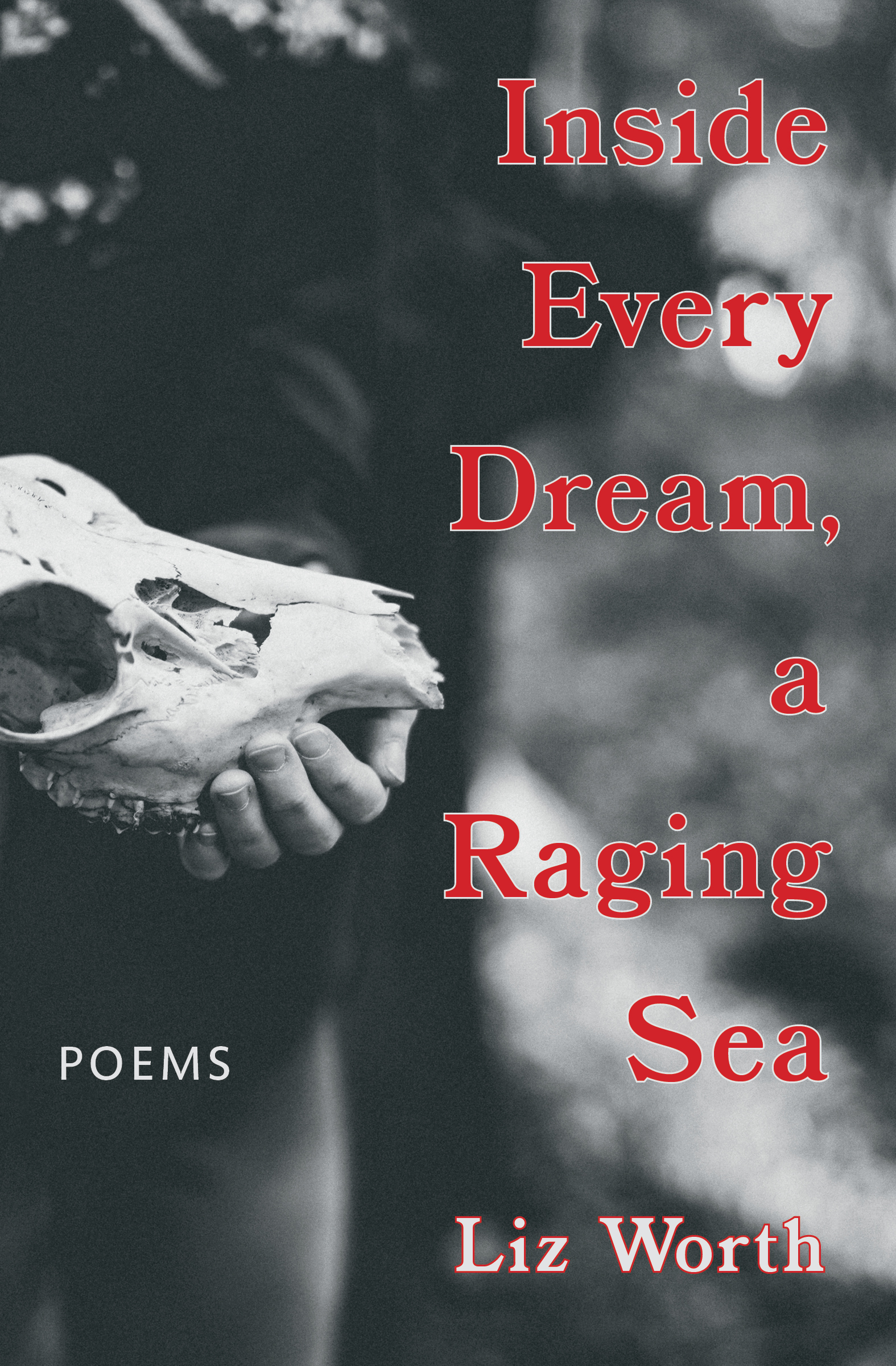 The cover of Inside Every Dream, a Raging Sea.