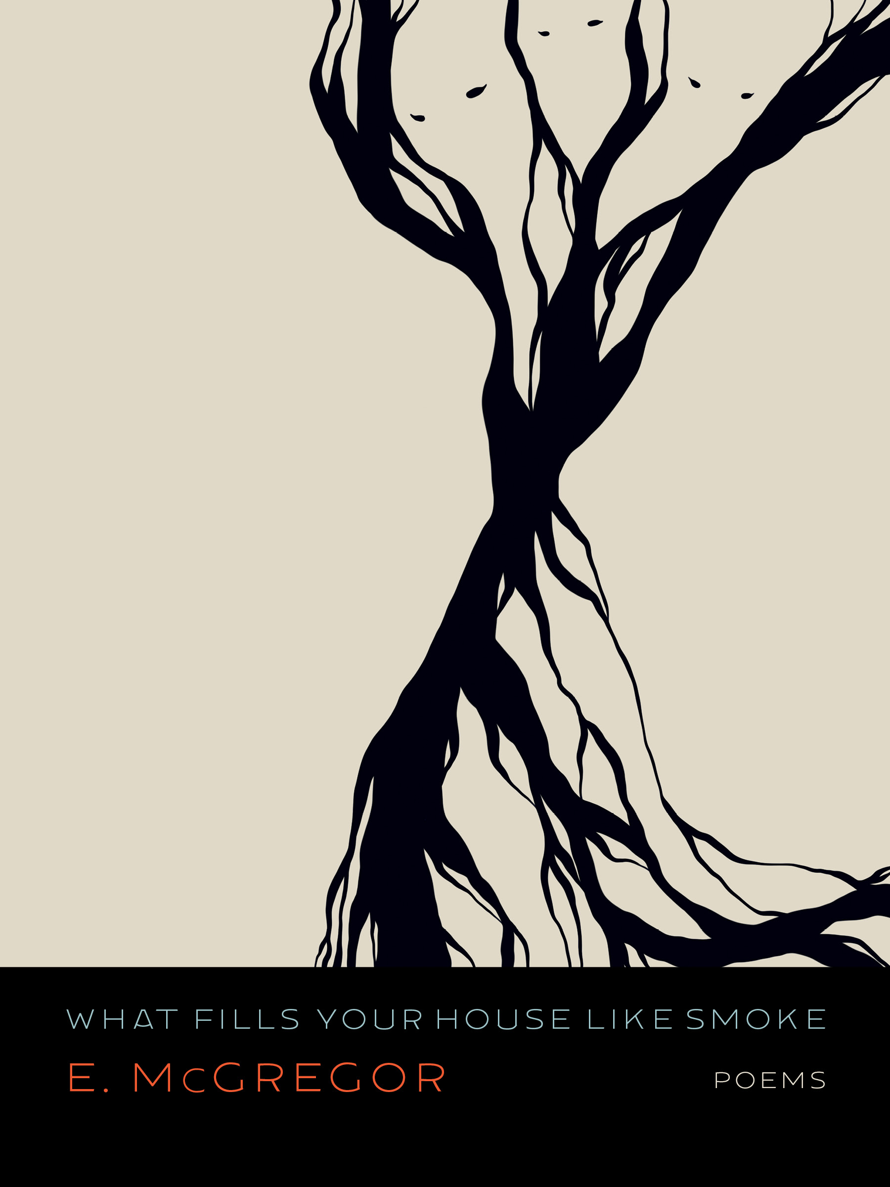 The cover of What Fills Your House Like Smoke by E. McGregor.