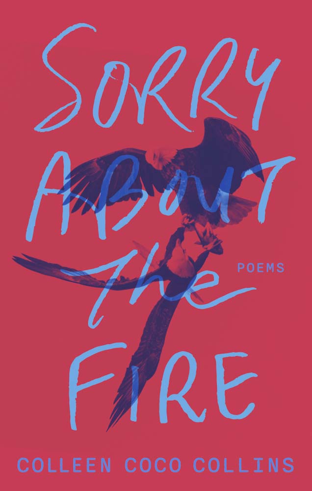 The cover of Sorry About the Fire by Colleen Coco Collins.