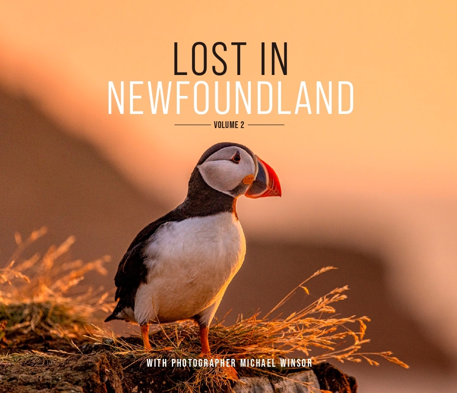 Lost in Newfoundland: Volume 2