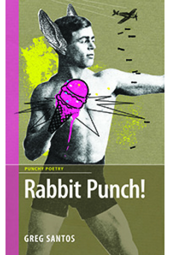 Rabbit Punch HC