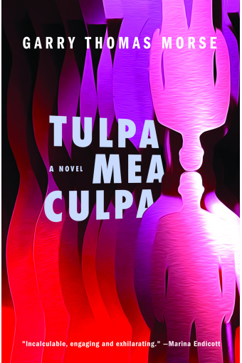 Tulpa Mea Culpa