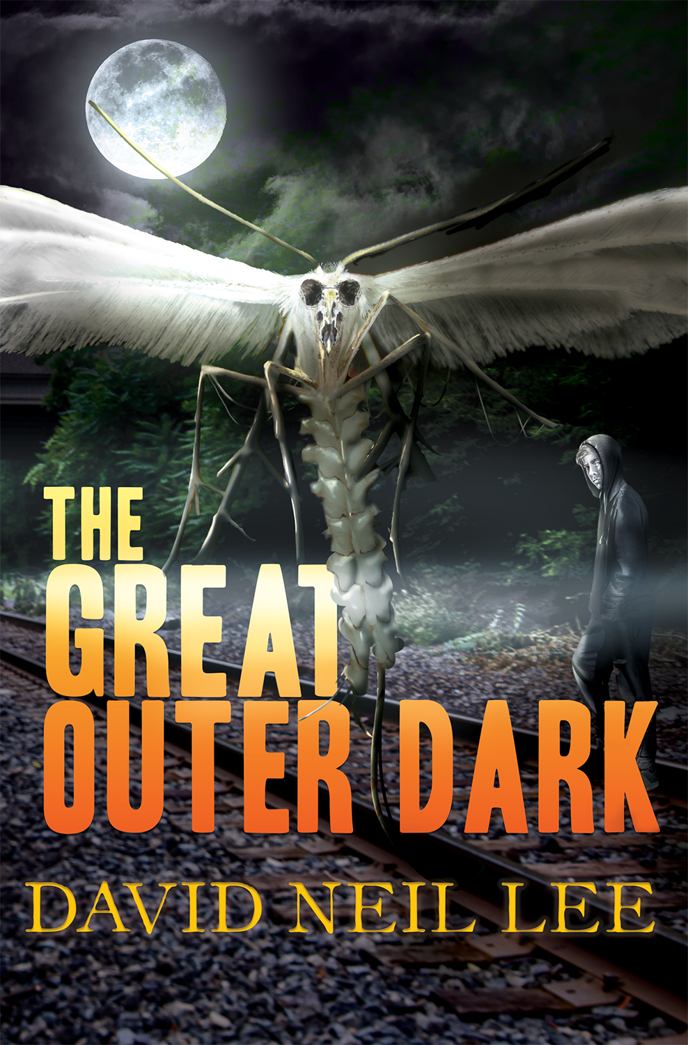 The Great Outer Dark by David Neil Lee.