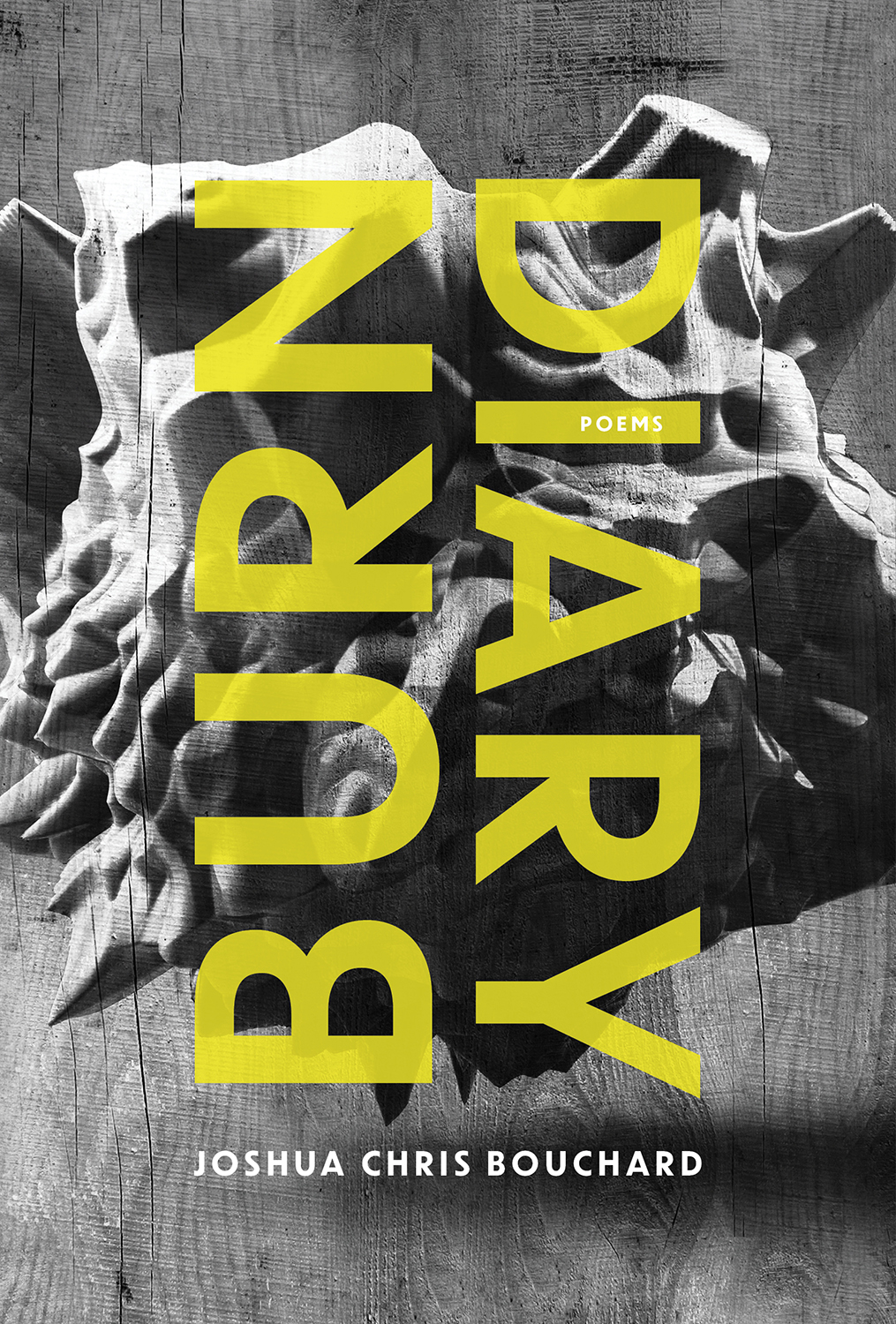 The cover of Burn Diary by Joshua Chris Bouchard.