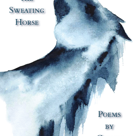 Facing the Sweating Horse