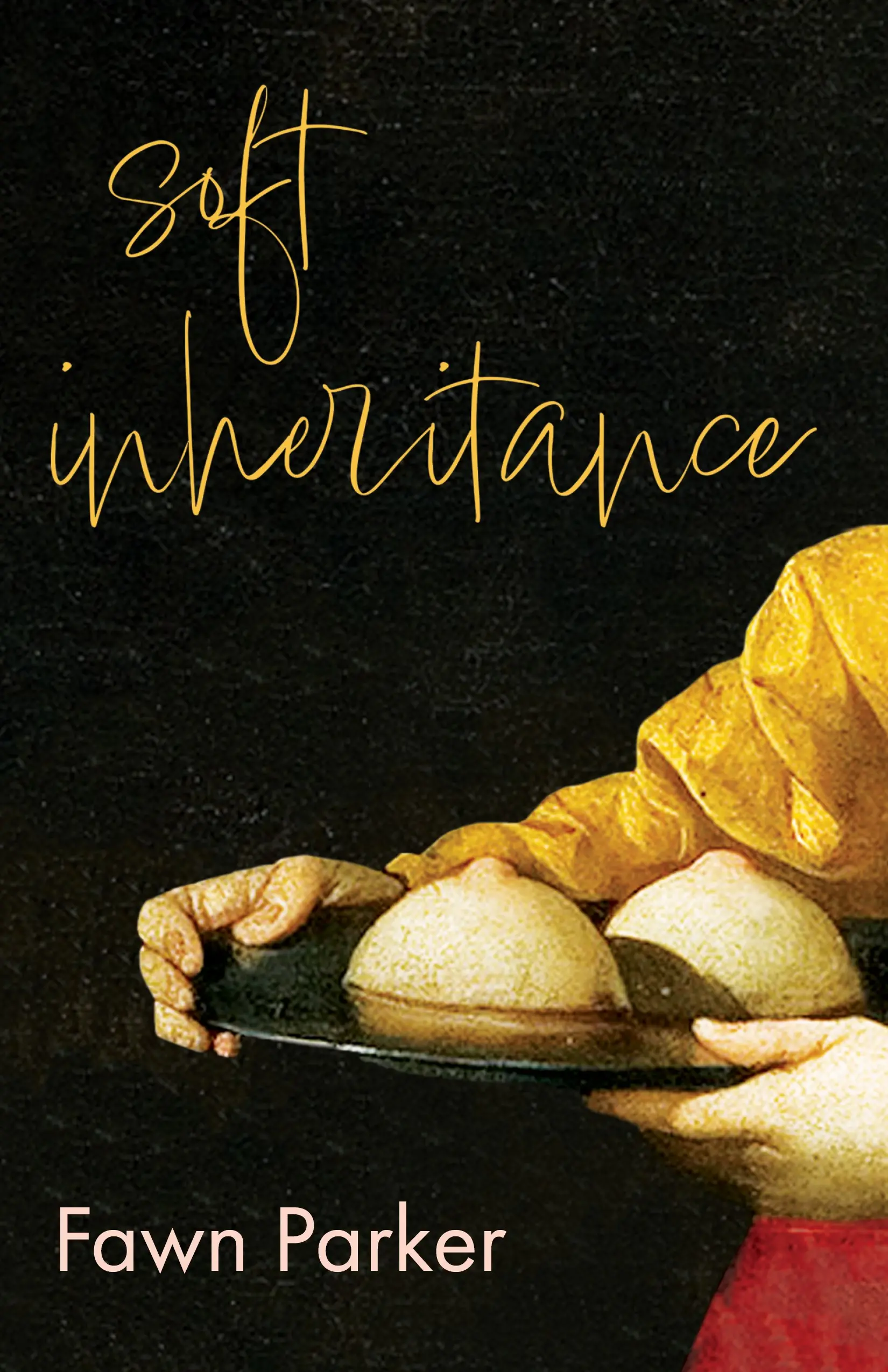 The cover of Soft Inheritance by Fawn Parker.